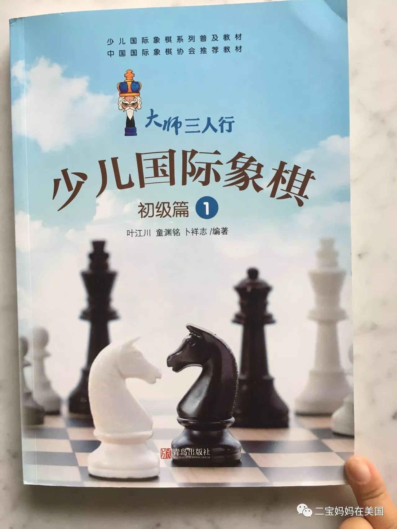 助力孩子的智力发育——国际象棋(图7)