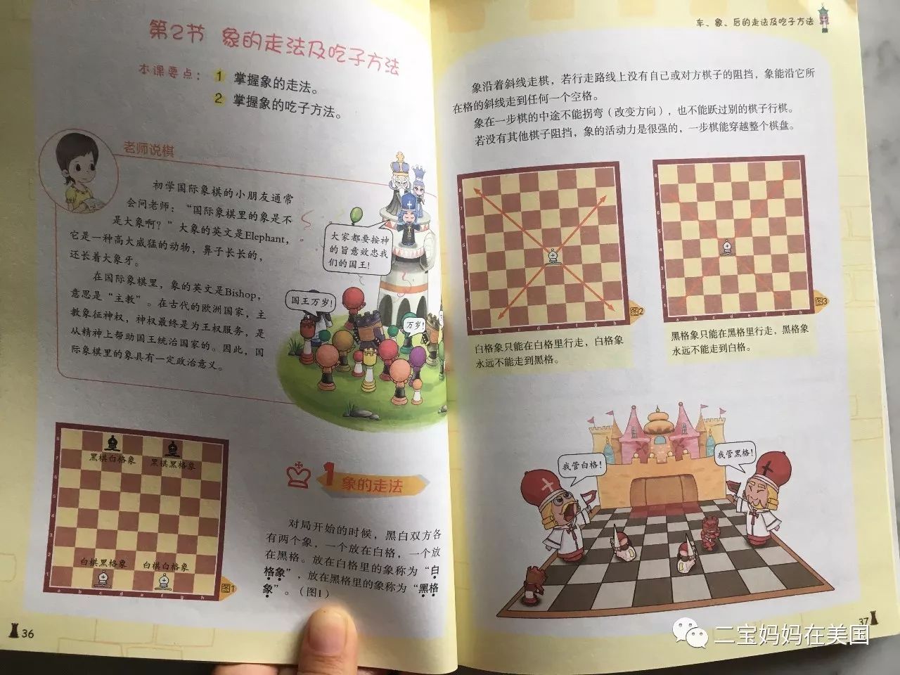 助力孩子的智力发育——国际象棋(图8)