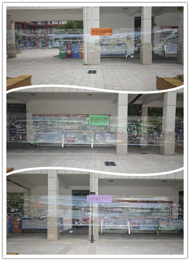郑州市第四十八中学心向阳光心理健康宣传月活动圆满落幕(图8)