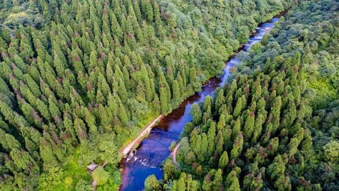 2025第三届中国国际象棋棋王赛在邛崃开幕‌(图5)