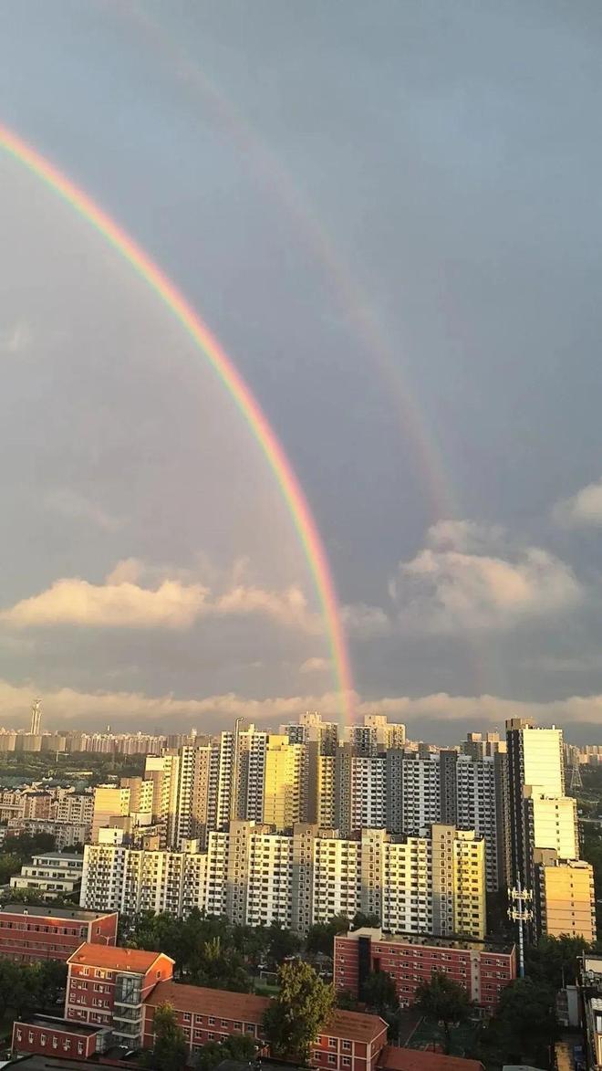 早读 升级！天津大暴雨冰雹！景区关闭！今天重磅发布！知名品牌关店100家！胡先煦、毛晓彤深夜声明！(图2)