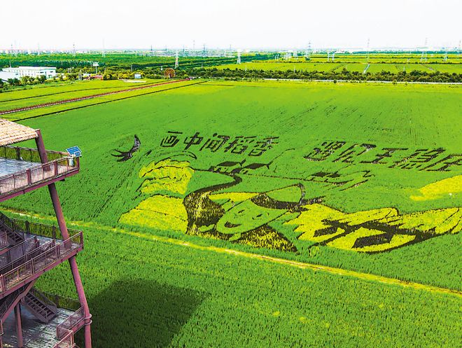 早读 升级！天津大暴雨冰雹！景区关闭！今天重磅发布！知名品牌关店100家！胡先煦、毛晓彤深夜声明！(图17)