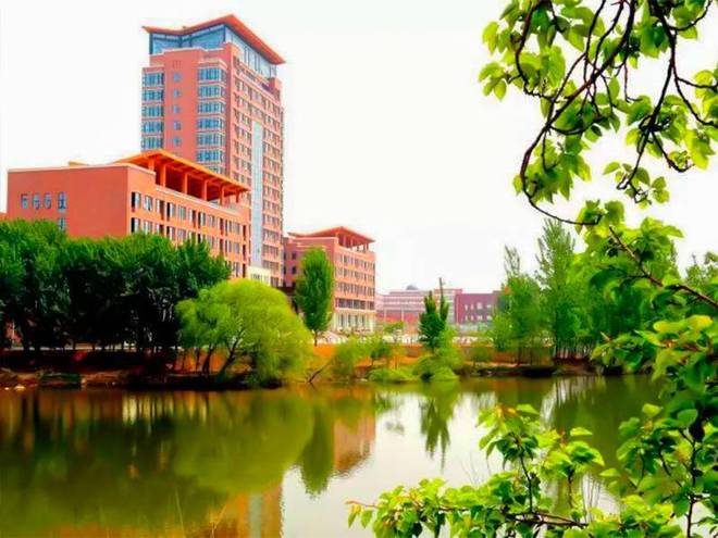 齐鲁棋院进军教育产业 力明学院辅助文化课教学(图6)