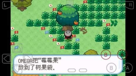 口袋妖怪剑盾102汉化版(图1)