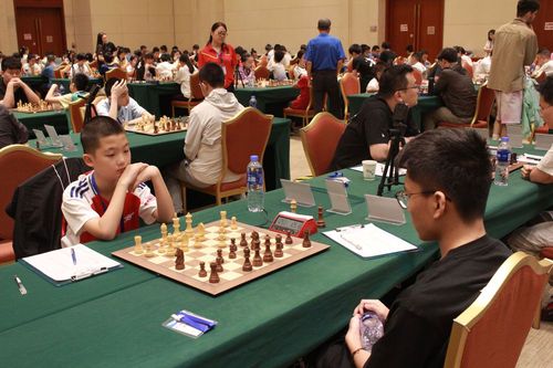 上合组织国家国际象棋团体赛相约上海(图1)