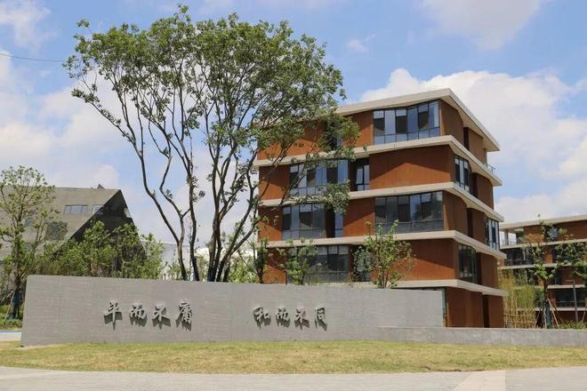 倒计时！2026年第八届上合组织国家国际象棋团体赛即将登陆上海青浦！(图3)