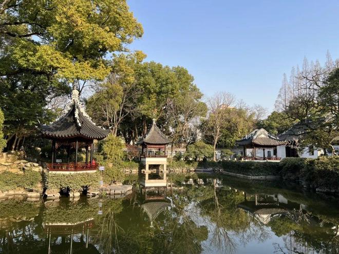 外国友人扎堆来青浦他们是……(图8)