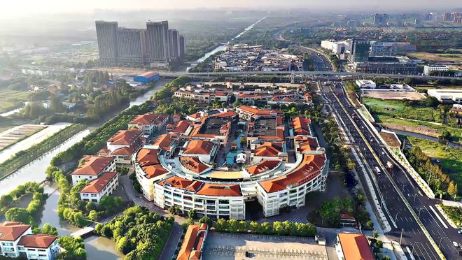 外国友人扎堆来青浦他们是……(图9)