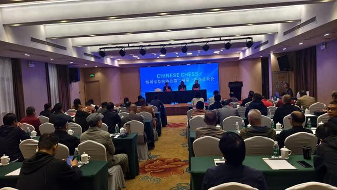 鄂州市象棋协会换届 毕业于美国南卡罗来纳大学的李莹当选为会长(图1)