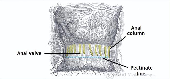 上游对话疑用“肛珠”作弊象棋选手：没作弊“浴缸门”是因为拉肚子(图5)