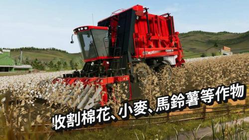 模拟农场20中国卡车(图1)