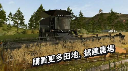 模拟农场20中国卡车(图3)